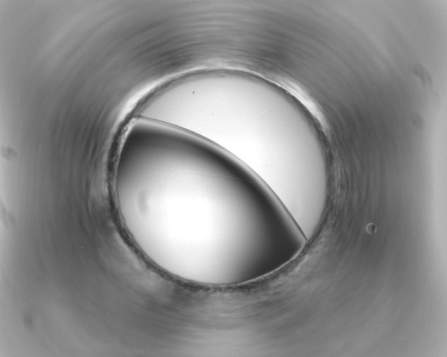 X0000091200972200708091037