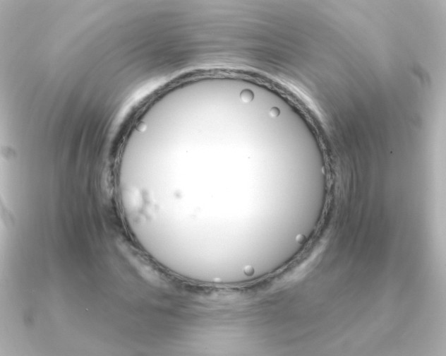 X0000091200974200708091037