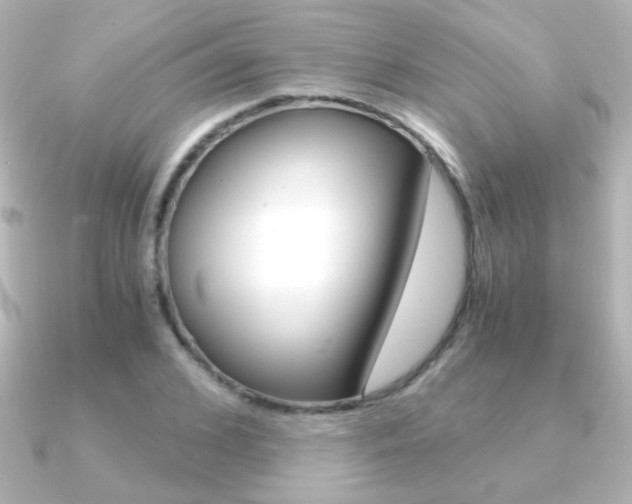 X0000091200976200708091037