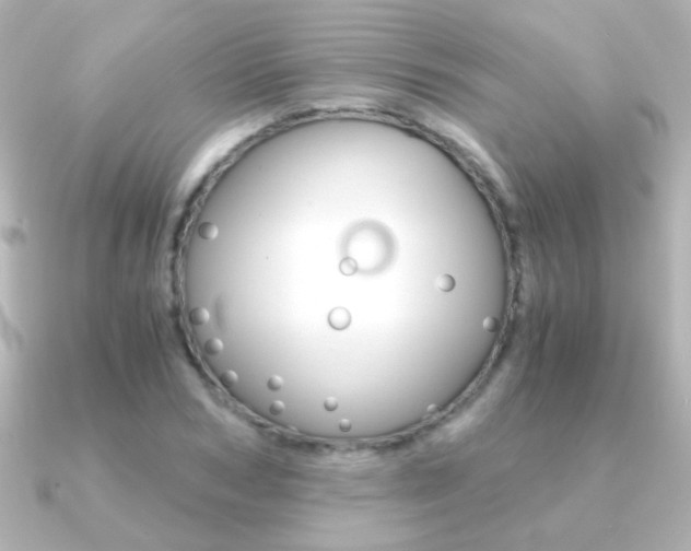 X0000091200978200708091037