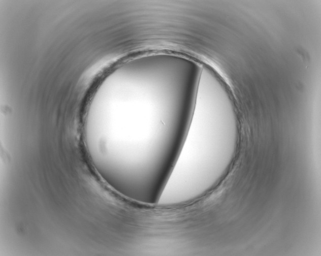 X0000091200979200708091037