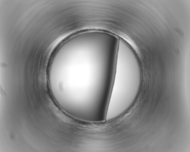X0000091200980200708091037
