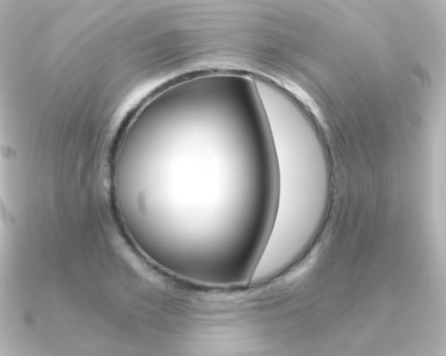 X0000091200981200708091037