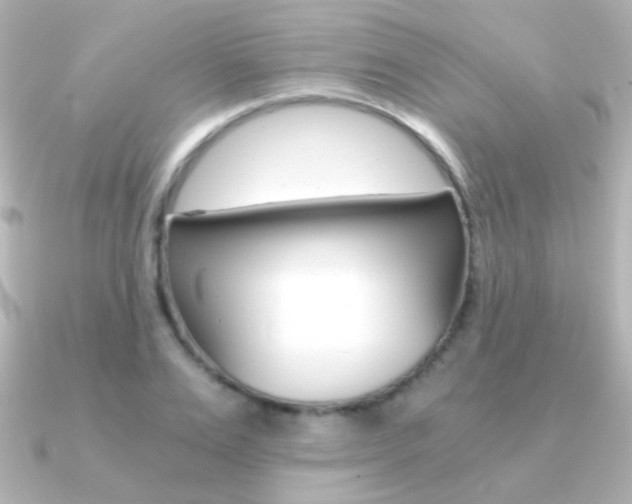 X0000091200983200708091037