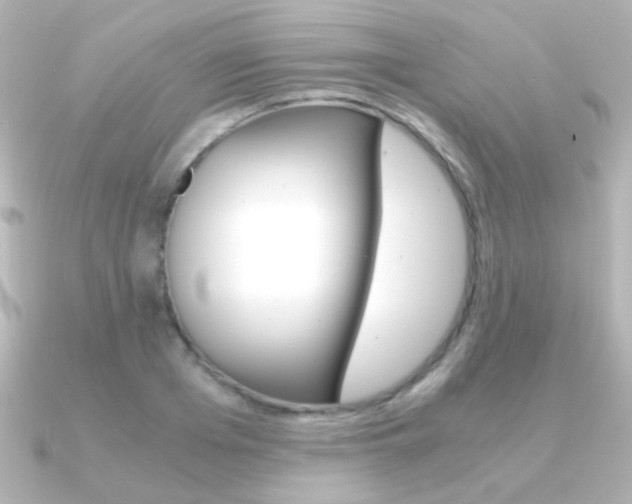 X0000091200985200708091037