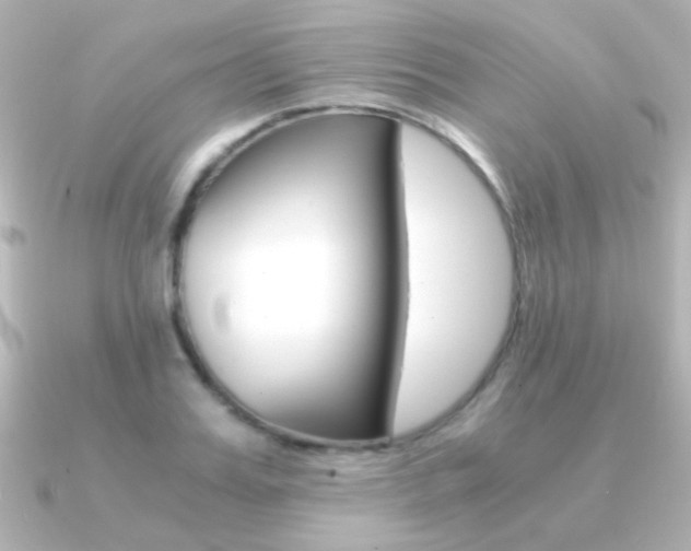 X0000091200987200708091037