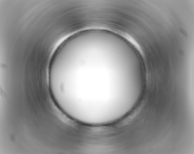 X0000091200988200708091037