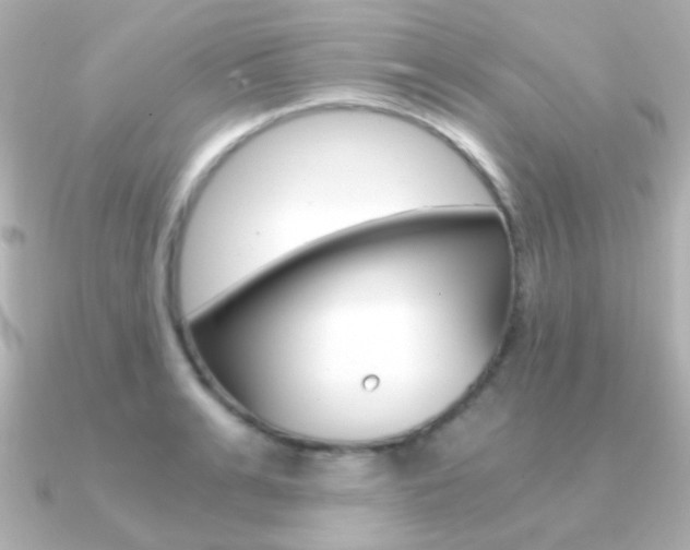 X0000091200991200708091037