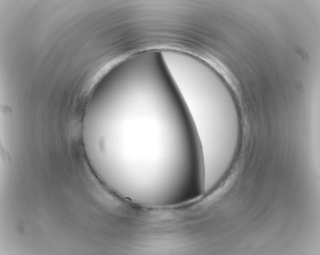 X0000091200993200708091037