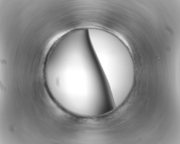 X0000091200995200708091037