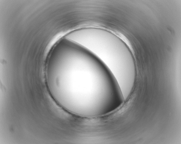 X0000091200997200708091037
