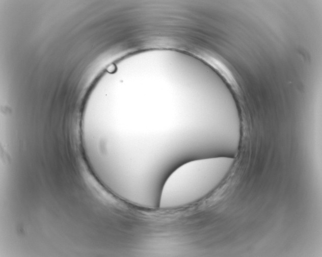 X0000091201000200708091037