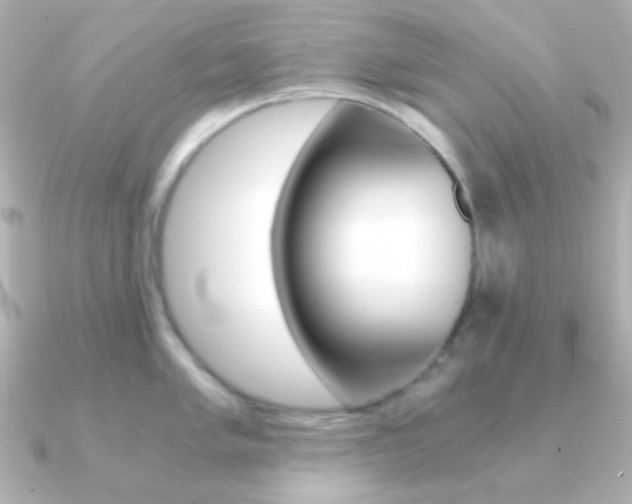 X0000091201005200708091036
