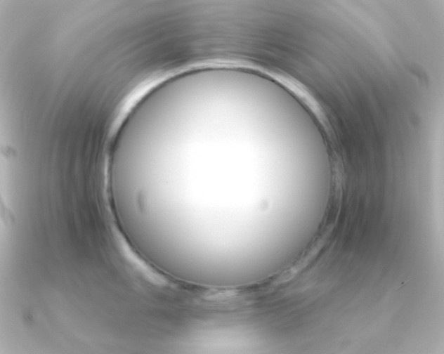 X0000091201006200708091036