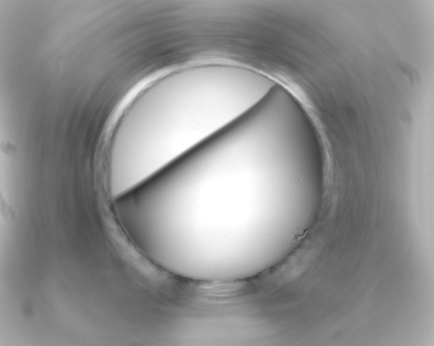 X0000091201008200708091036