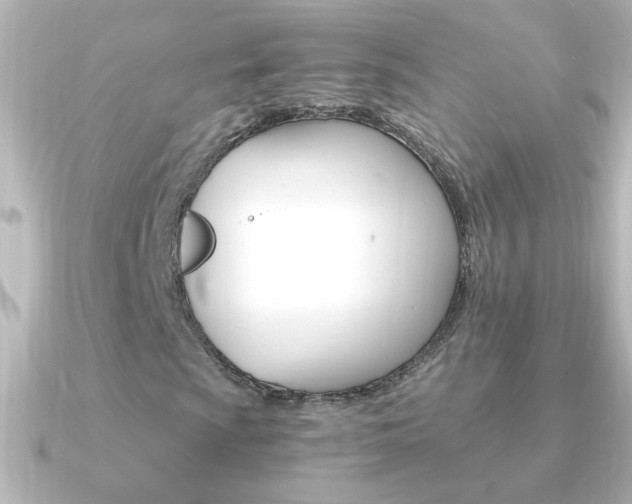 X0000091201009200708091036