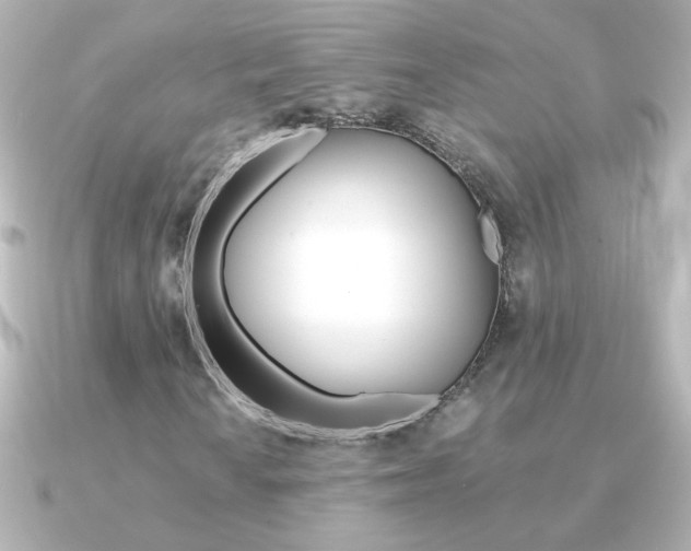 X0000091201010200708091036