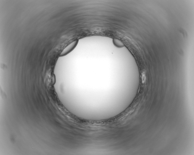 X0000091201011200708091036