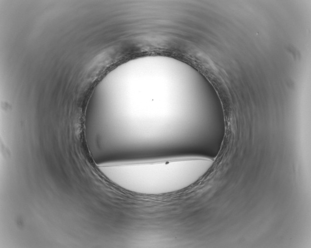 X0000091201012200708091036