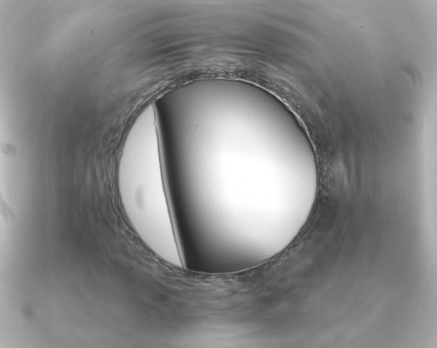 X0000091201013200708091036