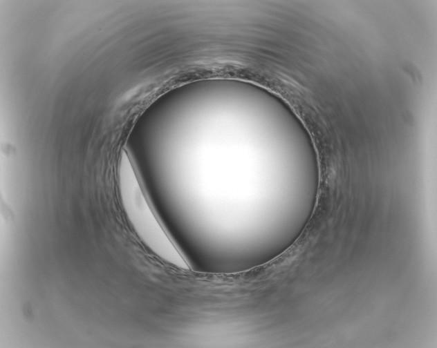 X0000091201014200708091036