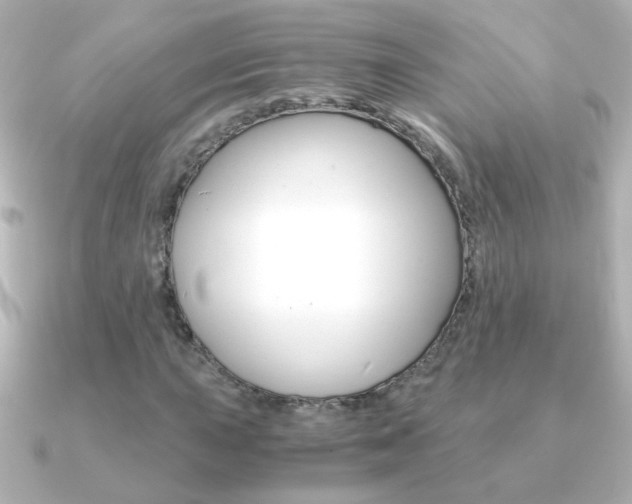 X0000091201015200708091036