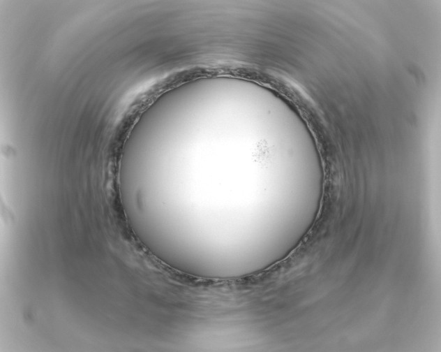 X0000091201016200708091036