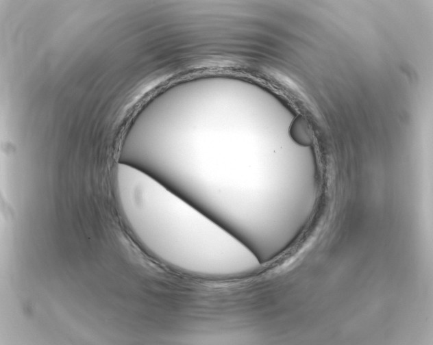 X0000091201017200708091036