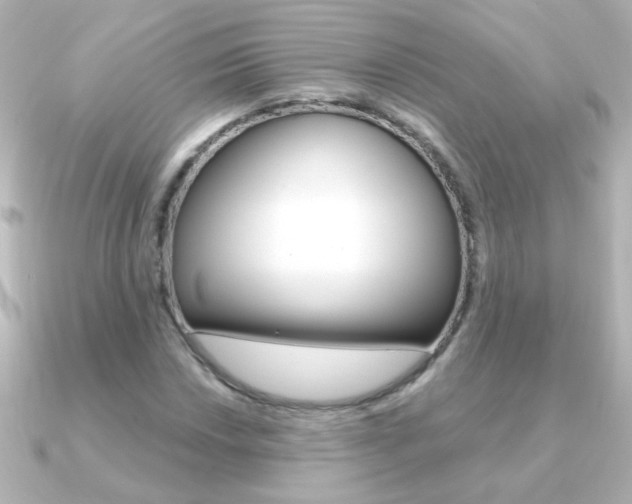 X0000091201018200708091036