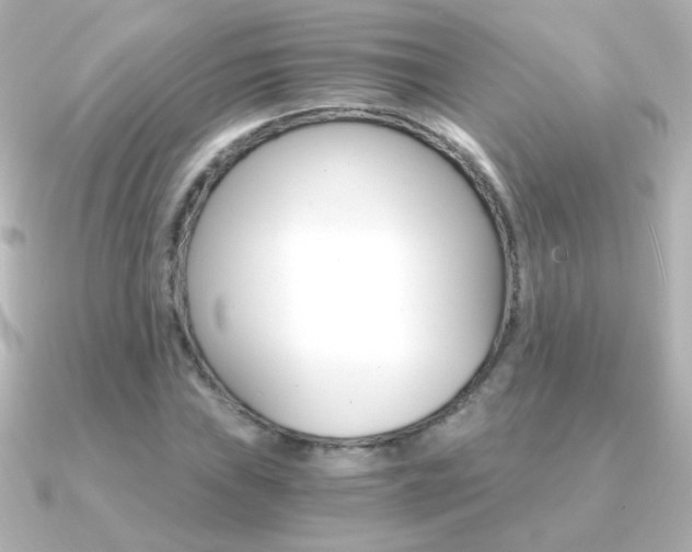 X0000091201019200708091036