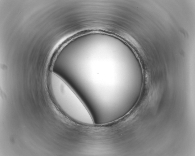 X0000091201020200708091036