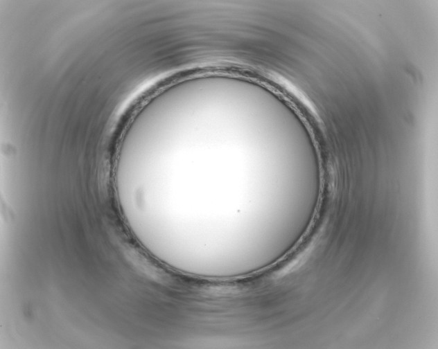 X0000091201021200708091036