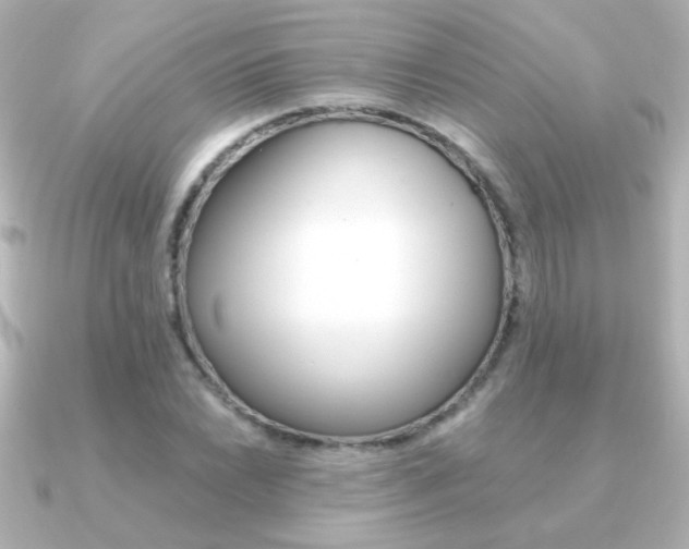 X0000091201022200708091036