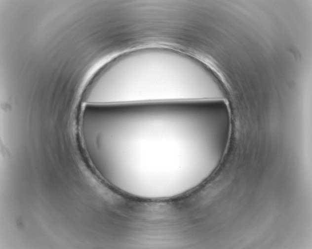 X0000091201024200708091036