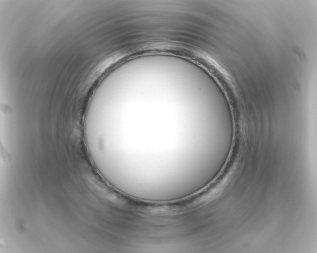 X0000091201025200708091036