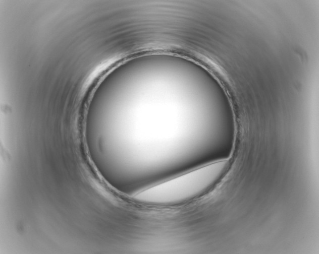 X0000091201026200708091036