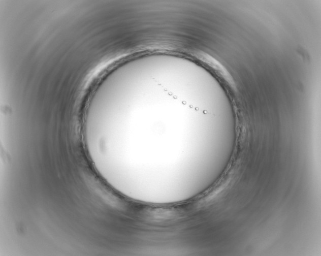 X0000091201027200708091036