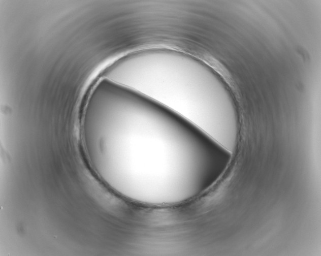 X0000091201028200708091036