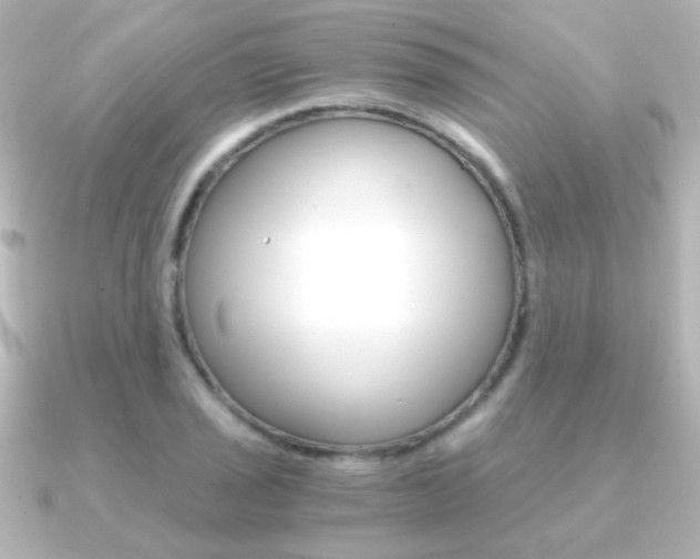 X0000091201029200708091036