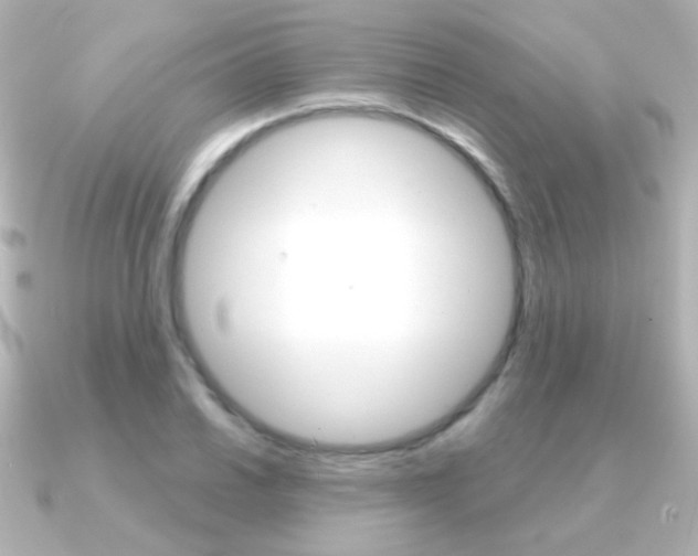 X0000091201030200708091036