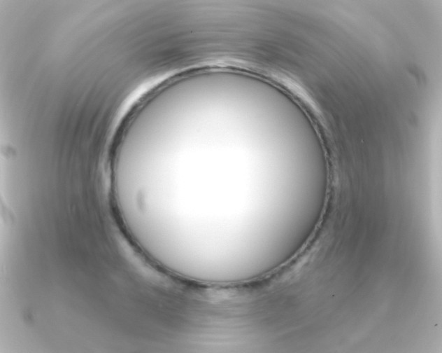 X0000091201032200708091036