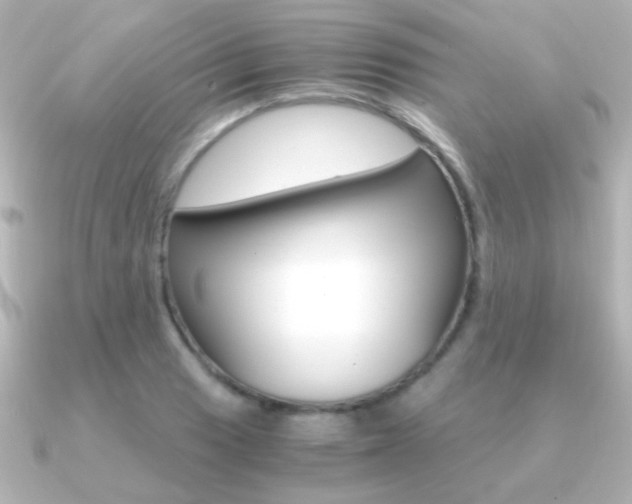 X0000091201033200708091036