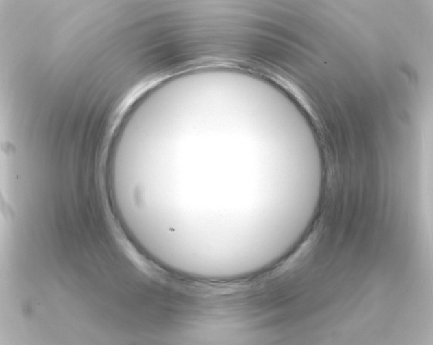 X0000091201034200708091036