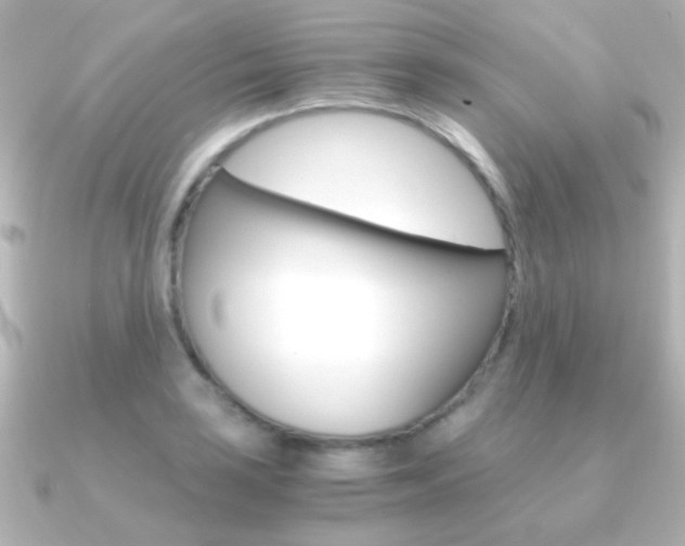 X0000091201035200708091036