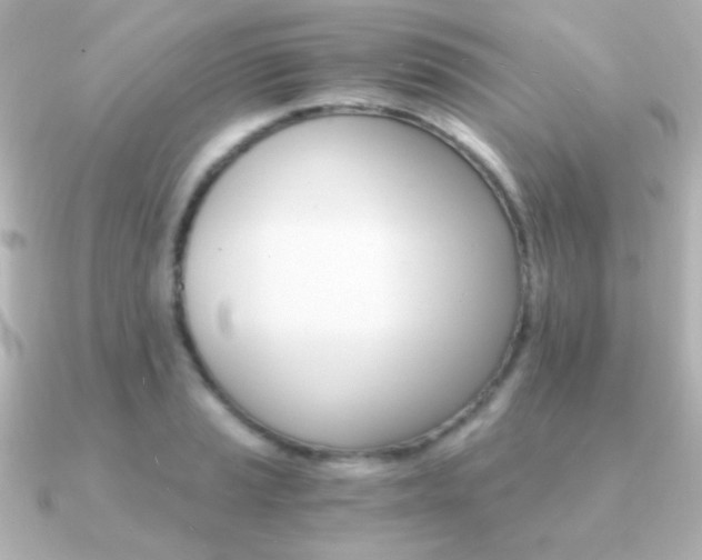 X0000091201037200708091036