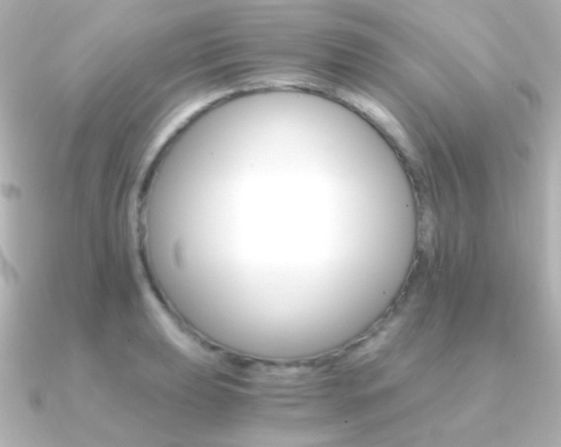 X0000091201039200708091036