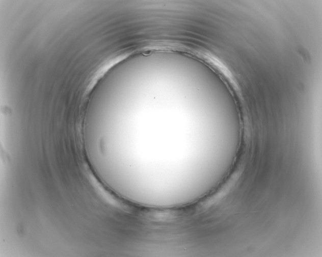 X0000091201041200708091036