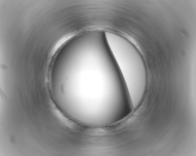 X0000091201042200708091036