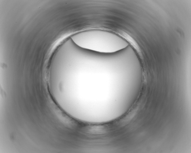 X0000091201043200708091036