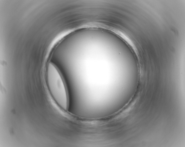 X0000091201045200708091036
